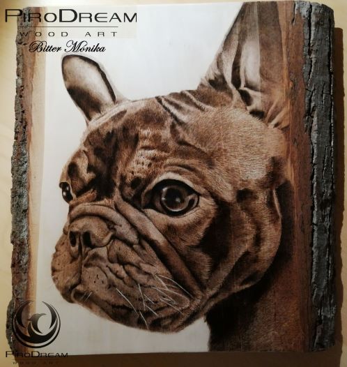 Portré pirográfia bulldog